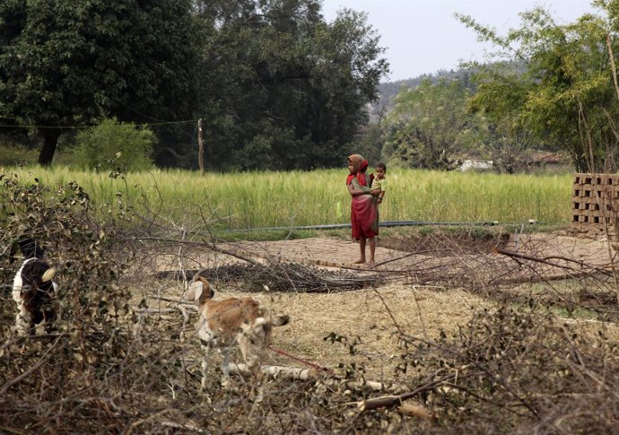 Un niña india en medio de su pueblo deforestado en el estado de Madhya Pradesh