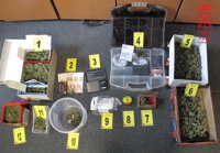 La Policía Foral detiene a en Caparroso a un vecino por tráfico de drogas