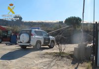 Intervienen 18.000 kilos de piñas en una empresa en Lepe (Huelva) al carecer de permiso para esta actividad