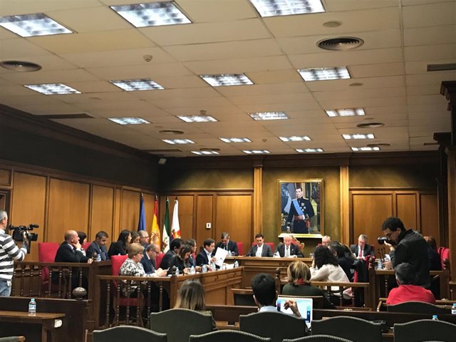 Diputación celebra un pleno extraordinario para una convocatoria de ayudas.