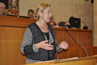 Gastón critica al gobierno municipal de Zaragoza en Común por "torpedear" el proyecto del outlet de Pikolín