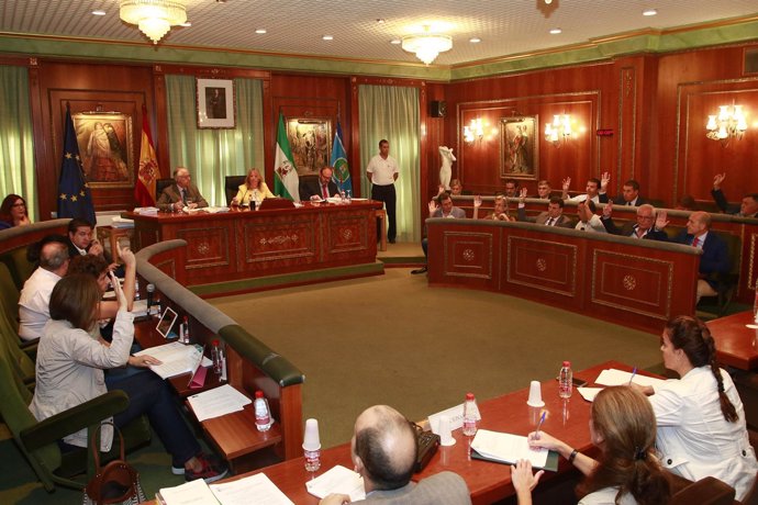 Pleno del Ayuntamiento de Marbella 