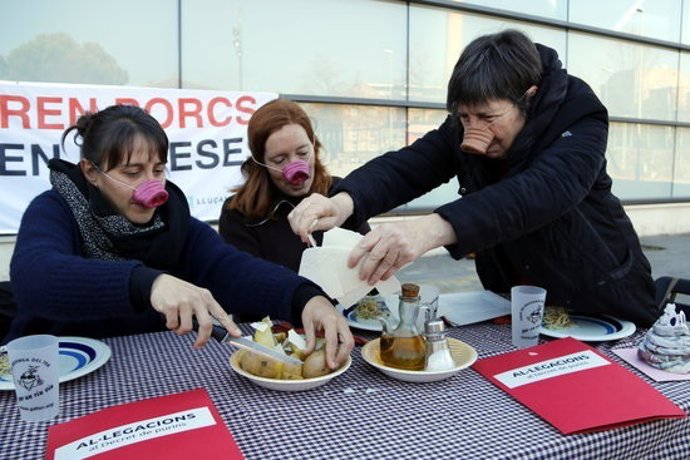 Agencia Catalana de Noticias