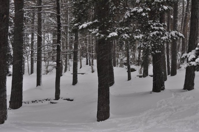 Nieve en el Pirineo oscense