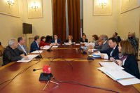 La Comisión sobre la SVAV, marcada por la ausencia de Baró que tenía más "labores ejecutivas" que los concejales