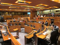 El asturiano sólo protagoniza una propuesta en la que PP insta a la Junta a posicionarse contra la oficialidad