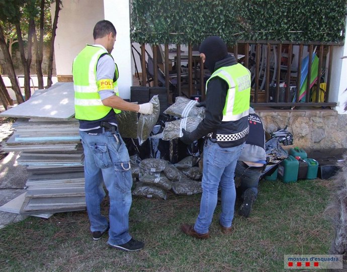 Mossos intervé 100 quilos de marihuana
