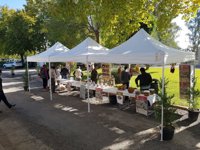 Andalucía se afianza como líder de la producción ecológica en España con casi la mitad de la superficie certificada