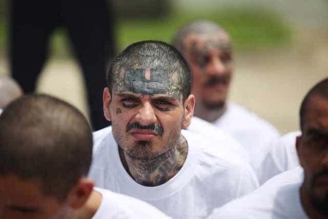 Mara Salvatrucha (MS-13) gang members wait to be escorted upon their arrival at 