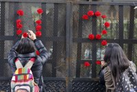 Peña Nieto promulga la ley contra el "grave problema" de la desaparición forzada en México