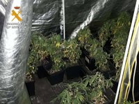 La Guardia Civil halla un cultivo de marihuana tras el incendio en una vivienda de Lardero (La Rioja)