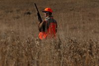 'The Elephant Project' denuncia la decisión de Trump de permitir la importación de trofeos de elefante a EEUU