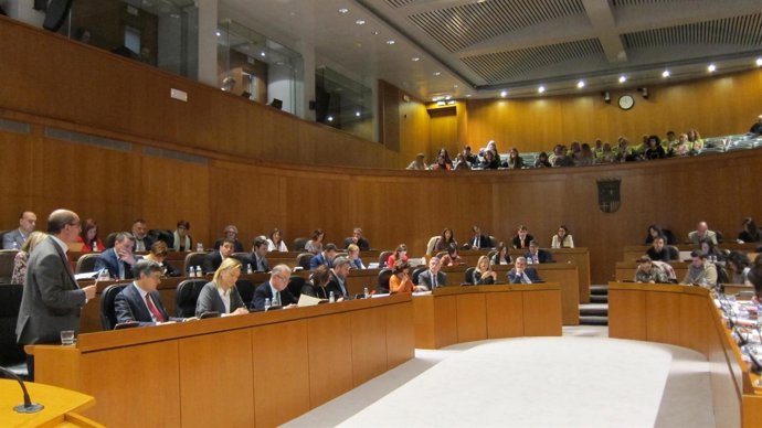 Pleno de las Cortes de Aragón este viernes.