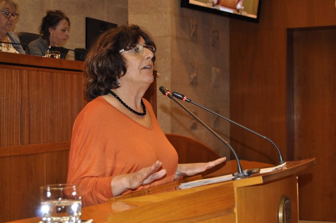 María Victoria Broto en la tribuna de oradores de las Cortes de Aragón