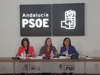 PSOE-A afirma que Díaz salió "fortalecida" del Debate de la Comunidad con el respaldo a su demanda sobre financiación