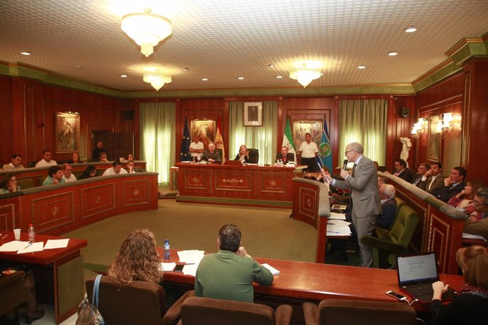 Pleno Ayto Marbella 