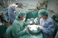 Realizados con éxito 14 trasplantes de órganos en el Hospital Reina Sofía en una semana