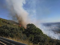 Medios terrestres y un helicóptero trabajan para sofocar un incendio en Guadalupe