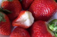 La campaña 'Fresas de Europa' lanza el concurso de recetas de cara a la Navidad