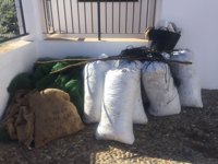 Seis detenidos por ocho presuntos delitos de robo y hurto en el sector del olivar durante noviembre en Sevilla