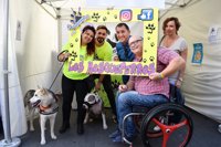 Santa Cruz castigará el maltrato animal con las "máximas penas y sanciones"