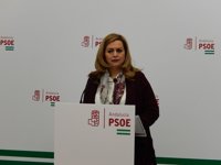 PSOE-A pide al Gobierno que "revierta el progresivo deterioro" del servicio de Correos