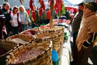 Revilla y Tezanos participan en la XIII Feria de la Alubia y de la Hortaliza de Casar de Periedo