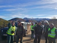 CyL busca en Palencia un oso pardo herido en una cacería