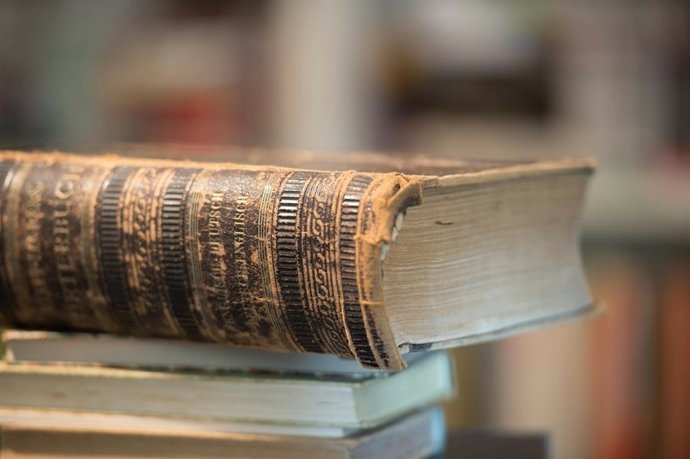 Libro, diccionario, biblioteca.