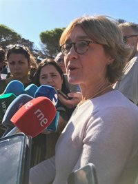 Tejerina: La "decisión futura" sobre el almacenamiento de gas en Doñana "dependerá de la Junta"