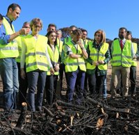 El Gobierno destinará un millón a reforestar la zona del incendio de Doñana
