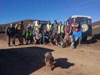 Fundación Oso Pardo, acusación en el caso del oso muerto en una cacería en Palencia