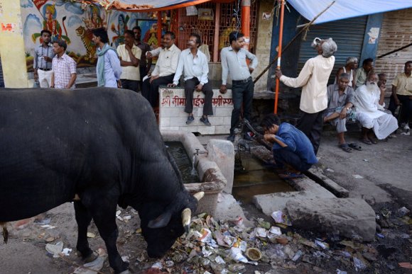 toro india