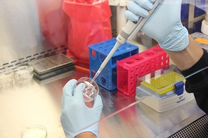 Fàrmac, fàrmacs, laboratori