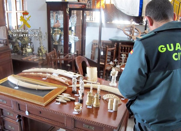 Piezas de marfil intervenidas por la Guardia Civil