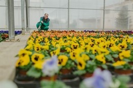 Premio Triodos Empresas, Asprodes