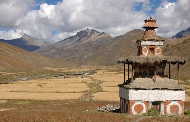 Cultivo de cebada en el Himalaya