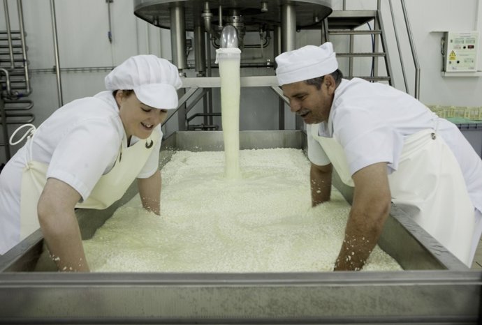 Avanteselecta sitúa a sus quesos entre los mejores del mundo.