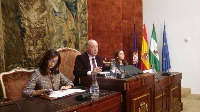 Antonio Ruiz preside el Pleno de la Diputación de Córdoba