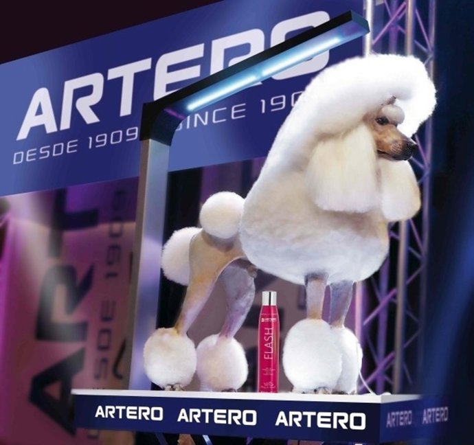 PELUQUERÍA CANINA GRAND SLAM ARTERO