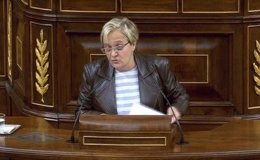 La diputada del PSOE Ángeles Álvarez