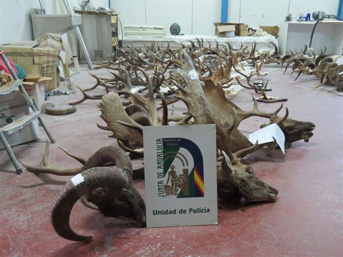 Material intervenido                           