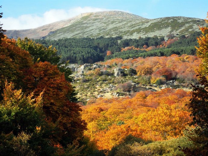 Una de las visitas en 4X4 recorre el Moncayo