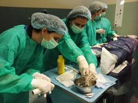 Dos profesionales del Hospital de Puerto Real (Cádiz) imparten un curso sobre técnicas intervencionistas ecodirigidas