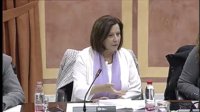 Junta exige al Gobierno que se comprometa "de una vez por todas" con Andalucía en la atención de menores no acompañados