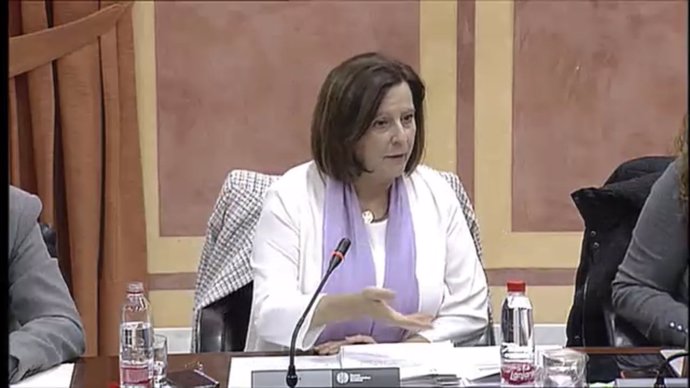 Sánchez Rubio en la comisión de Igualdad