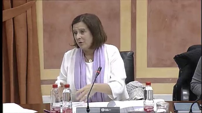 Sánchez Rubio en la Comisión de Igualdad y Políticas Sociales