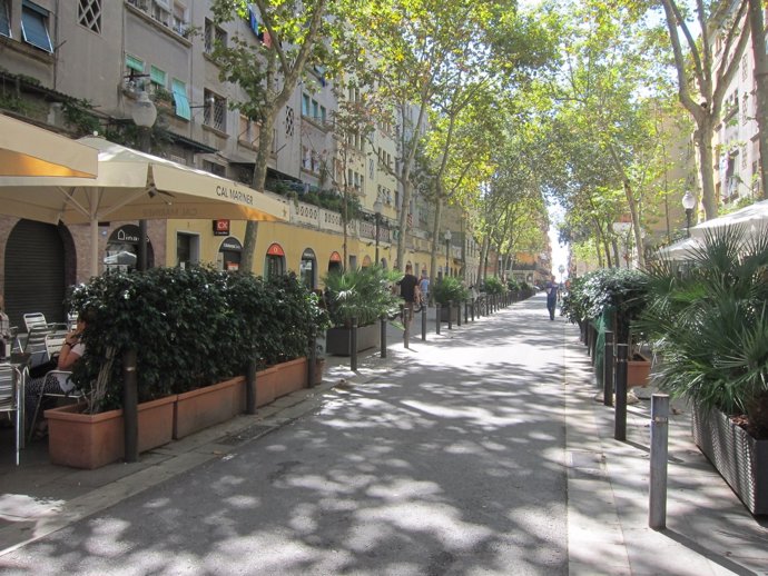 Recurs per a Barceloneta, passeig, terrasses, estiu