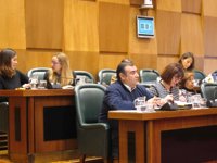 Unanimidad en el pleno del Ayuntamiento de Zaragoza para promover la inclusión de los menores con dislexia