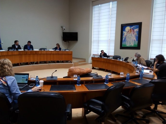 Carmen Bouso en comisión parlamentaria